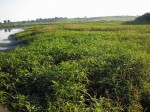 FotoCamedia-051