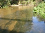 FotoCamedia-063