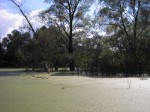 FotoCamedia-185