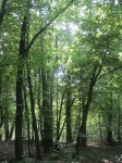 IMG_0119
