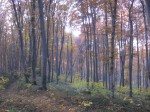 IMG_1549