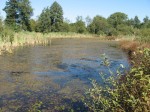 IMG_3959 IMG_3959