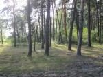 IMG_8636
