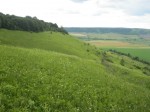 IMG_8821